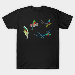 Quetzal Collection! Hand Painted Watercolor Quetzals T-Shirt